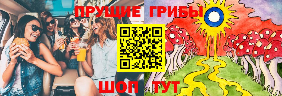 Кунгур  Псилоцибиновые грибы Psilocybine cubensis  Вход с VPN 