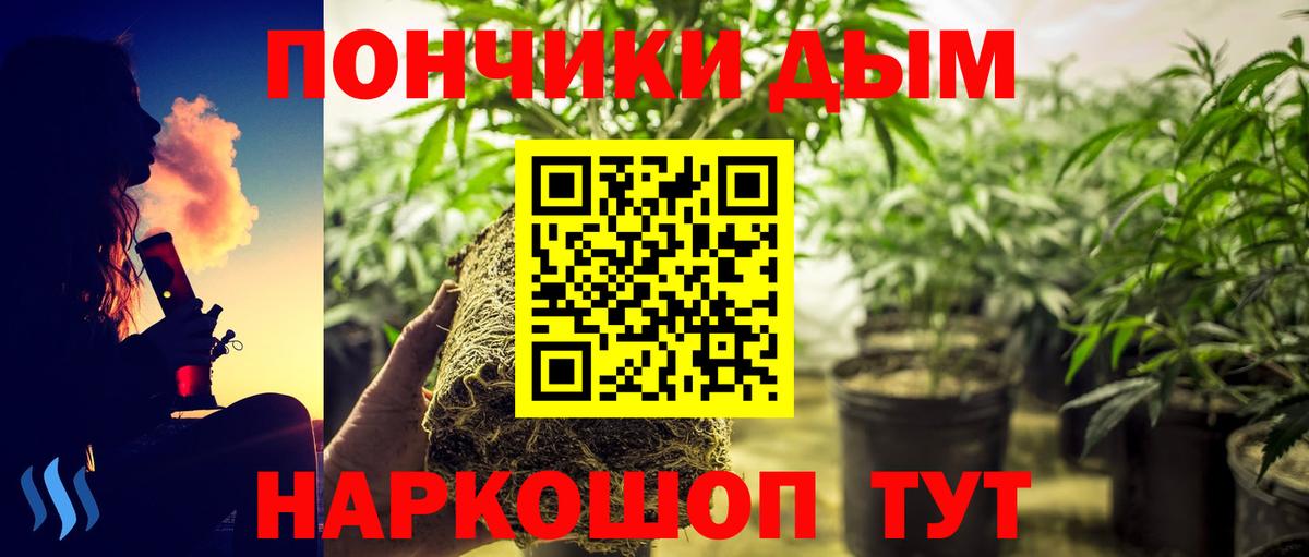 Марихуана марихуана  Конопля планчик  Вход с VPN  Кунгур 